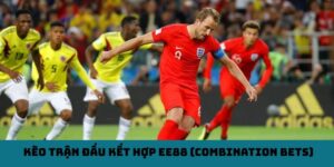 Cách Đặt Kèo Trận Đấu Kết Hợp EE88 - Hướng Dẫn Chi Tiết Từ A - Z